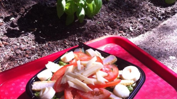 salade escalope panée